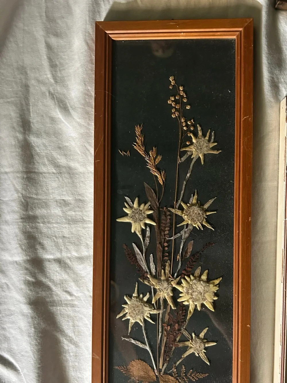 Vintage Framed Dried Floral Wall Art Collqge